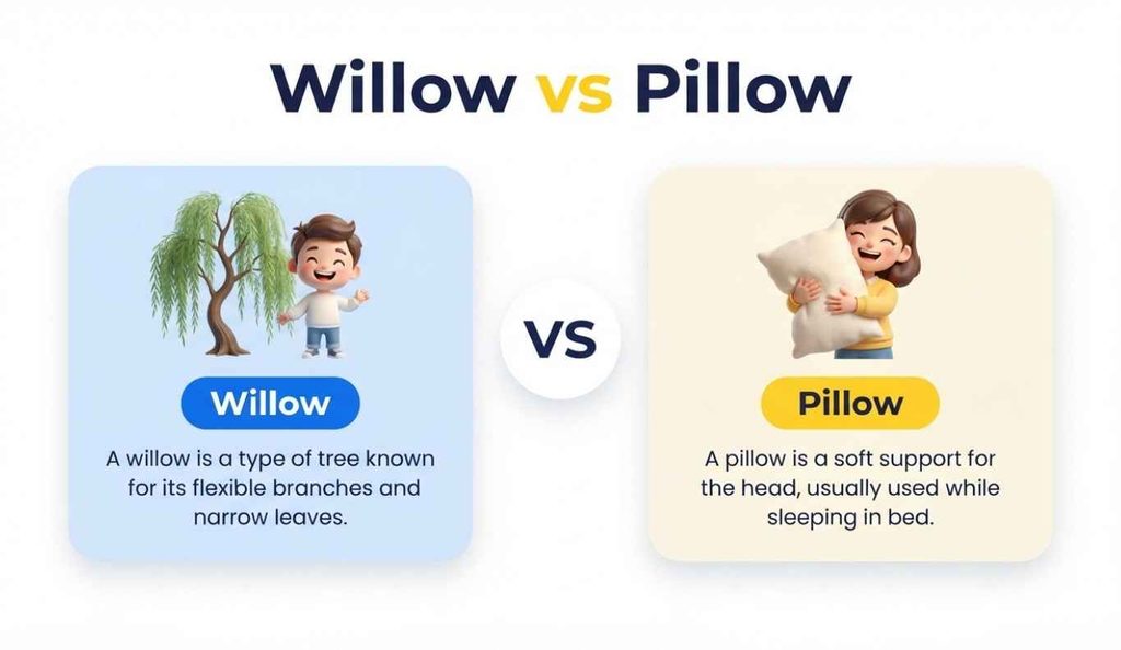 willow meaning